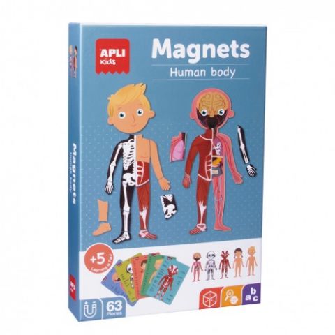 APLI MAGNETS EL CUERPO HUMANO 